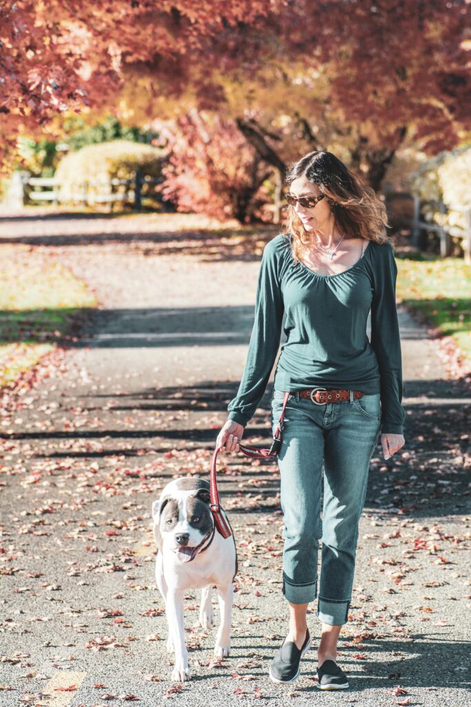 A woman in casual attire walks her American Bulldog along a scenic, tree-lined path during fall.